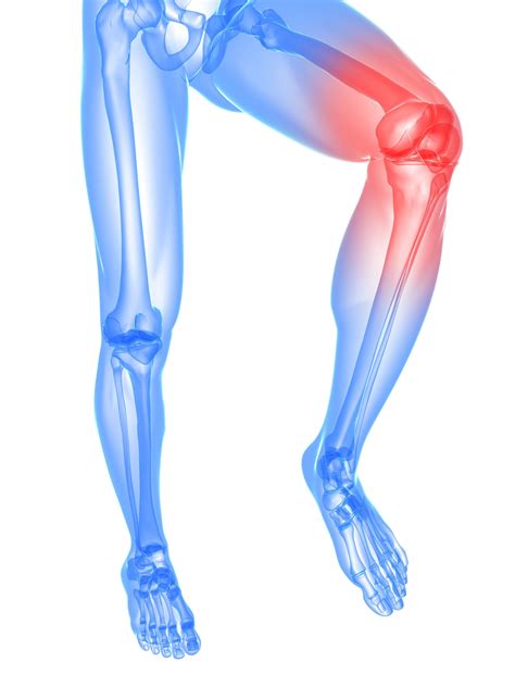 Understanding Orthopedic Physical Therapy | Hot Search Engine