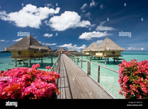 Bora Bora Beach Huts