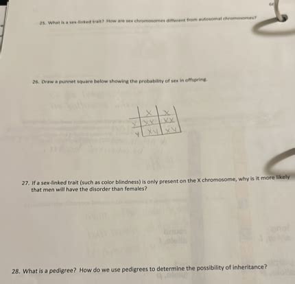 Solved Draw A Punnet Square Below Showing The Probability Of Sex