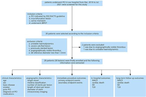 Frontiers A Novel Strategy To Simplify The Procedures In Treating