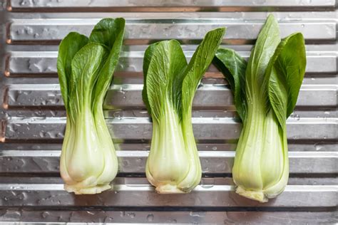 6 Quick Tips How To Grow Bok Choy The Gardening Dad