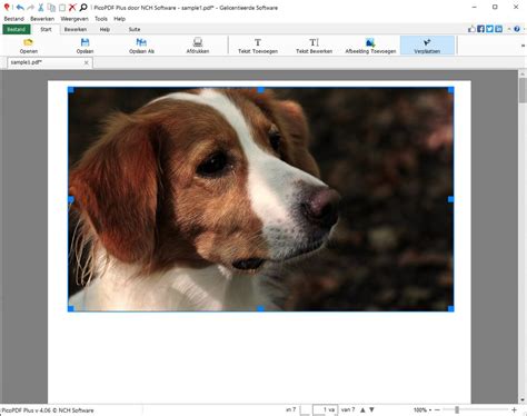 NCH Software Dutch On Twitter Bekijk De Nieuwste Versie Van PicoPDF