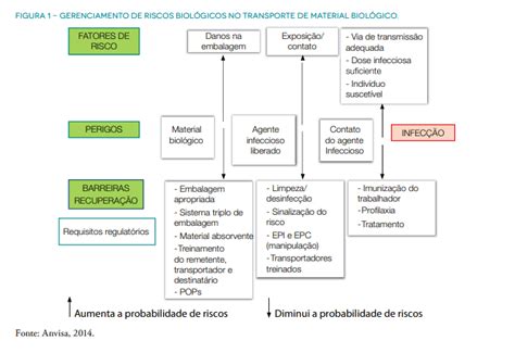 Classificação de risco no transporte de material biológico Loglife