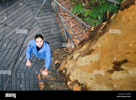 Gloucester Tree Pemberton Fotos Und Bildmaterial In Hoher Aufl Sung