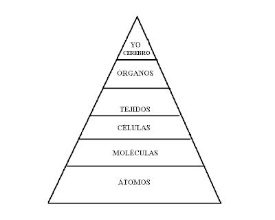 012 Filosofía y Filosofar conocimientos ve LA FILOSOFÍA CONCRETA