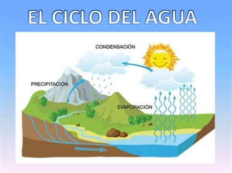 Qu Es El Ciclo Del Agua Resumen Para Ni Os Con Im Genes