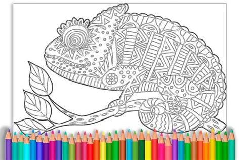 Mixed Up Chameleon Coloring Page