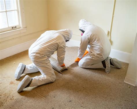 Mold Removal In The Us Mondo Mold Removal Offers 5 Tips On Removing Mold From Your House