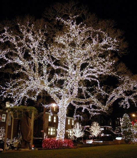 Top 10 Best Outdoor Christmas Light Ideas Topteny Magazine