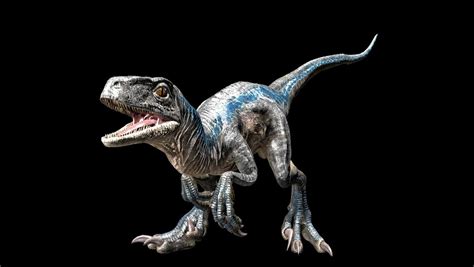 Beta The Baby Raptor Transparent by TREX096 on DeviantArt