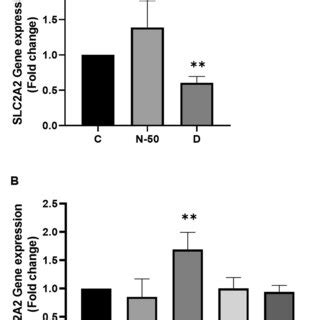 Gene expression level of SLC2A2 gene. (A) Relative gene expression of ...