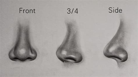 Drawing Noses From Different Angles