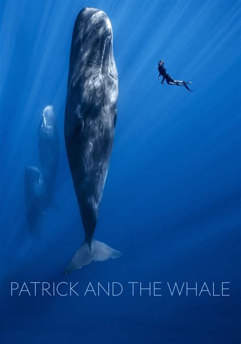 Patrick and the Whale streaming: where to watch online?