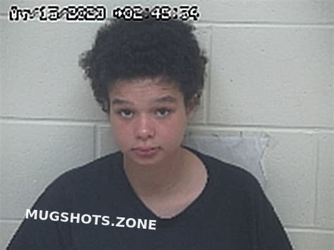 Green Sierra Scioto County Mugshots Zone