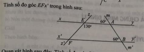 Tính Số đo Góc Efx Trong Hình Sau Hình Bằng X Z F Quan Sát Hình Son đâu Th E M Miq 130⁰ Im