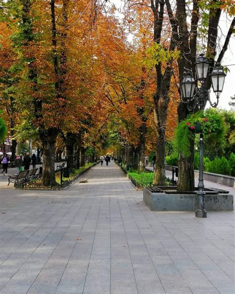 Краски осени