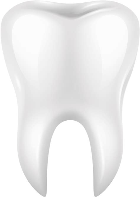 Free Png White Tooth Png Images Transparent Tooth Png Clipart Full