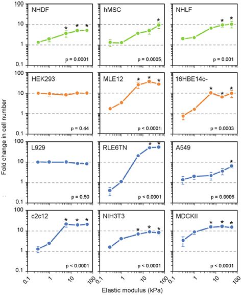 Stiffness Dependent Growth Profiles 12 Cell Types Table 1 Cultured Download Scientific