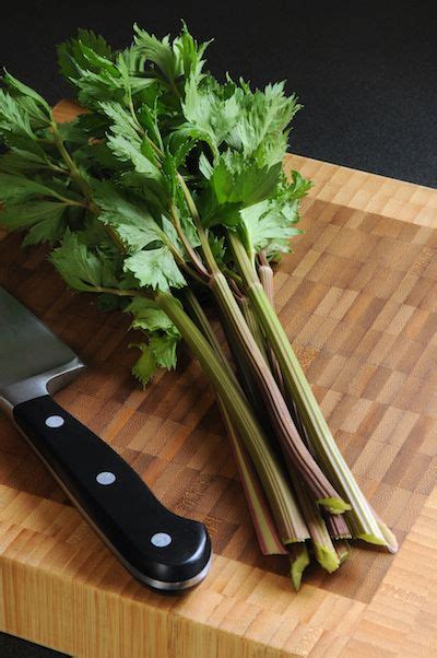 Peppermint Stick Celery Is As Yummy As Its Name Hoosier Gardener