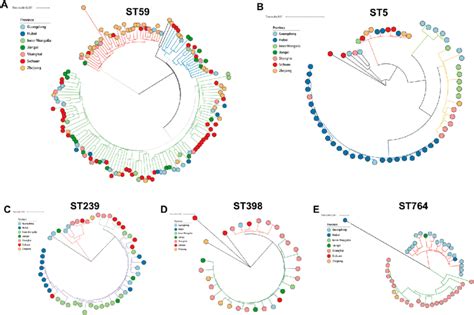 Core Genome Phylogenies For ST59 A ST5 B ST239 C ST398 And