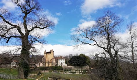 Round the Château de Vaumarcus - Adrian Matei