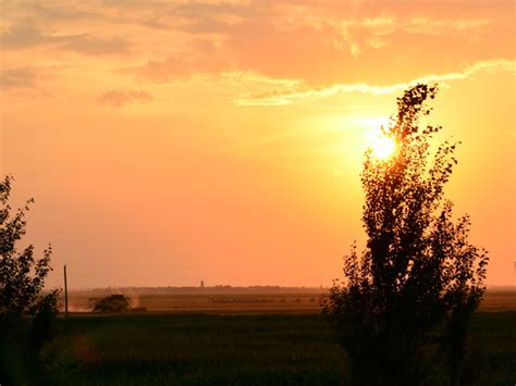 Winter Wheat Harvest Begins - SteinbachOnline.com - Local news, Weather ...