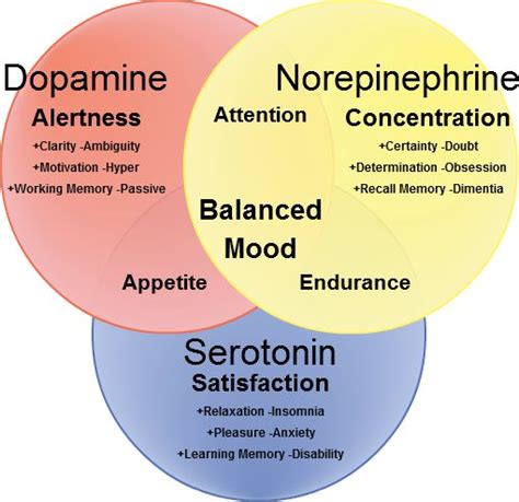 Mood And Neurotransmitters Lifetime Development