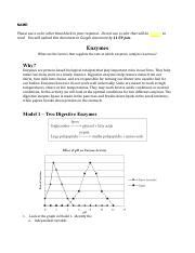 Nicholas Allen POGIL Enzymes Pdf NAME Please Use A Color Other