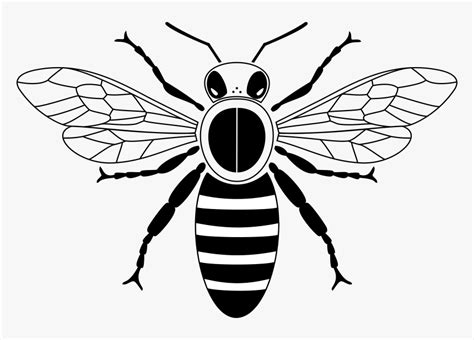 Honey Bee To Draw Queen Bee Svg Free Hd Png Download Kindpng