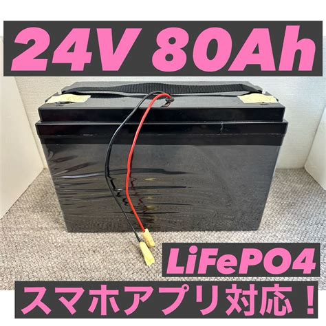 サイズ 新品 24v リチウムイオンバッテリー 80Ah lifepo4 充電器付 ミンコタ