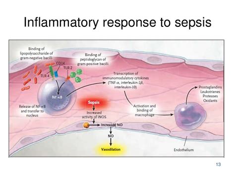 Septicemia