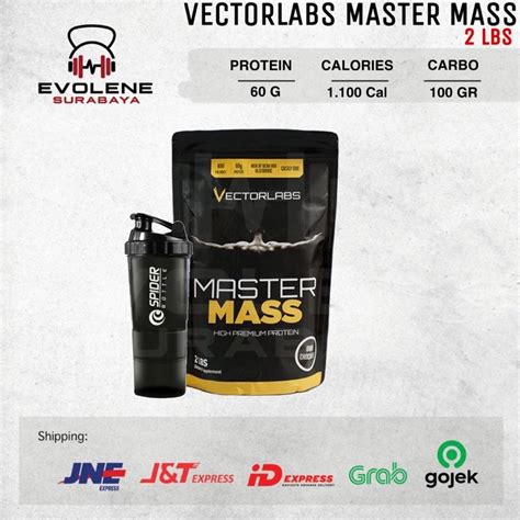 Jual Vectorlabs Master Mass 2 Lbs Vector Labs Susu Weight Gainer