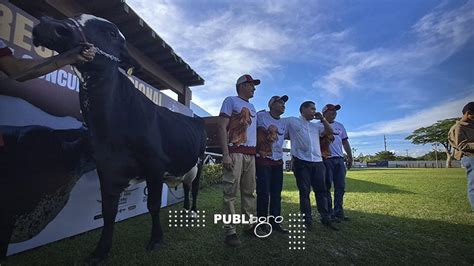 Galería de fotos AGROPECRUZ 2024 CAMPEONA EN PRODUCCIÓN DE LECHE