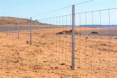 Barbed Wire Fence On Dry Land At West Australia Stock Photo Image Of