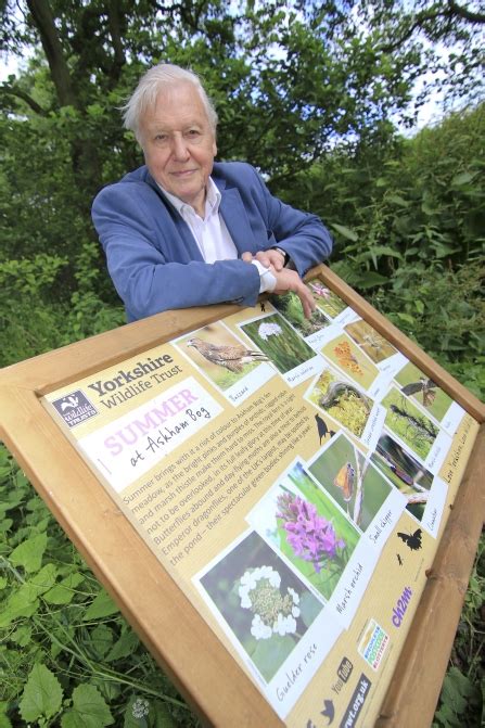 Askham Bog At Risk Again Sir David Attenborough Says Ancient Bog Must Be Protected Yorkshire