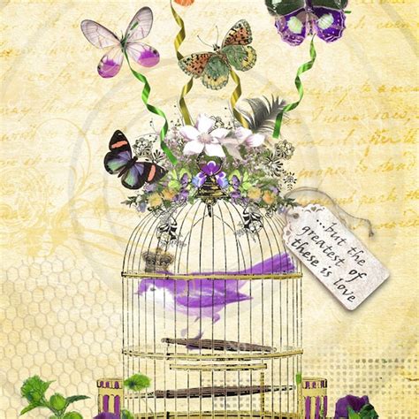 Victorian Bird Cage Etsy