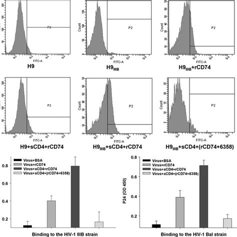 Binding Of RCD74 To Gp41 On Cell Surface And Virions A RCD74 Binds To