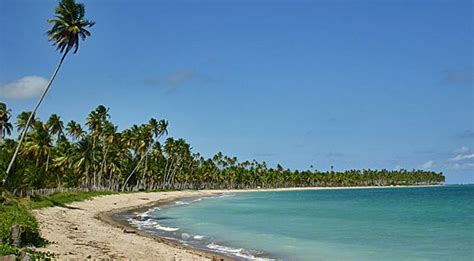 Miniguia De Praias S O Miguel Dos Milagres Porto De Pedras