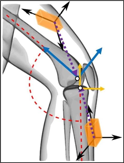 Figure From Evaluation Of An Imu Based Wearable Device For Acl Injury