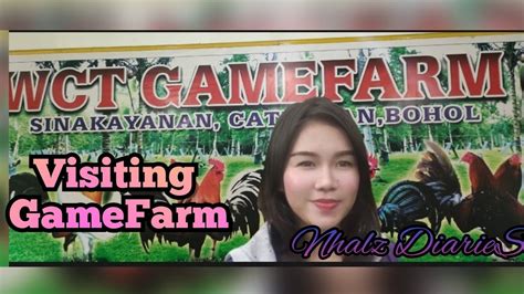 Visiting GameFarm Bumili Ng Alagang Manok Sa Gamefarm In Catigbian