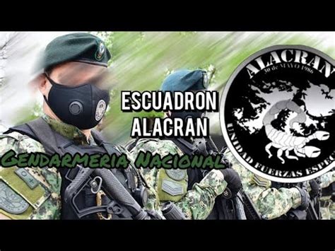 Escuadron Alacran De La Gendarmeria Nacional Argentina YouTube