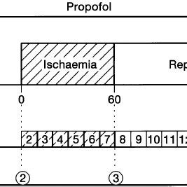 Experimental Procedure For The Nmr Measurements Arterial Pressure