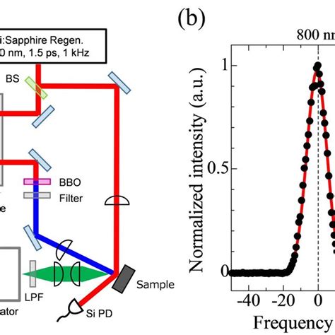 A Schematics Of The Experimental System For The Time Resolved Download Scientific Diagram