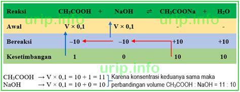 Cara Menghitung Rasio Perbandingan