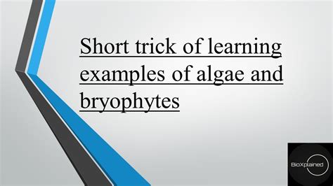 Short Trick Of Algae Bryophytes YouTube