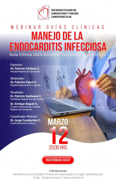 Gu As Cl Nicas Manejo De La Endocarditis Infecciosa Sochicar