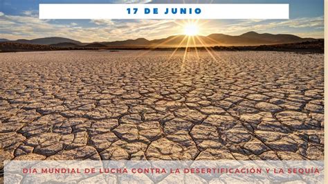 D A Mundial De La Lucha Contra La Desertificaci N Y La Sequ A De