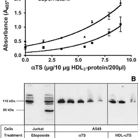 Oligonucleosome Accumulation And Parp Cleavage A To Determine