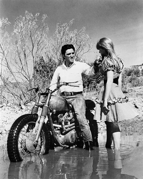 Elvis Photograph Elvis On Motorcycle By Bob Bradshaw Triumph