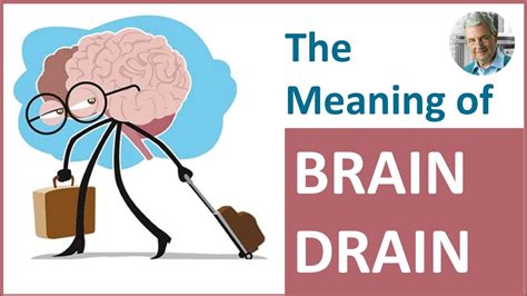 Brain Drain Definition Causes Effects And Examples 60 OFF